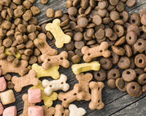 tomojo : des croquettes écologiques pour chiens et chats