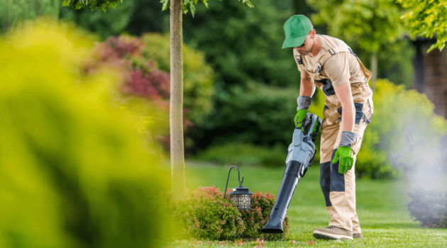 service jardinage entretien jardin
